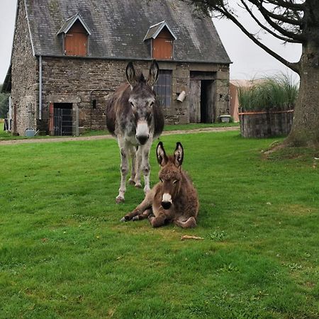 La Billardiere Camping A La Ferme Le Menil-Ciboult Exterior photo