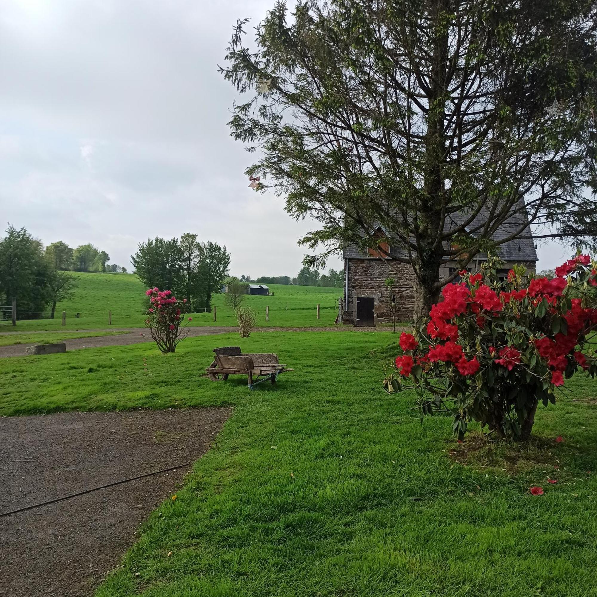 La Billardiere Camping A La Ferme Le Menil-Ciboult Exterior photo