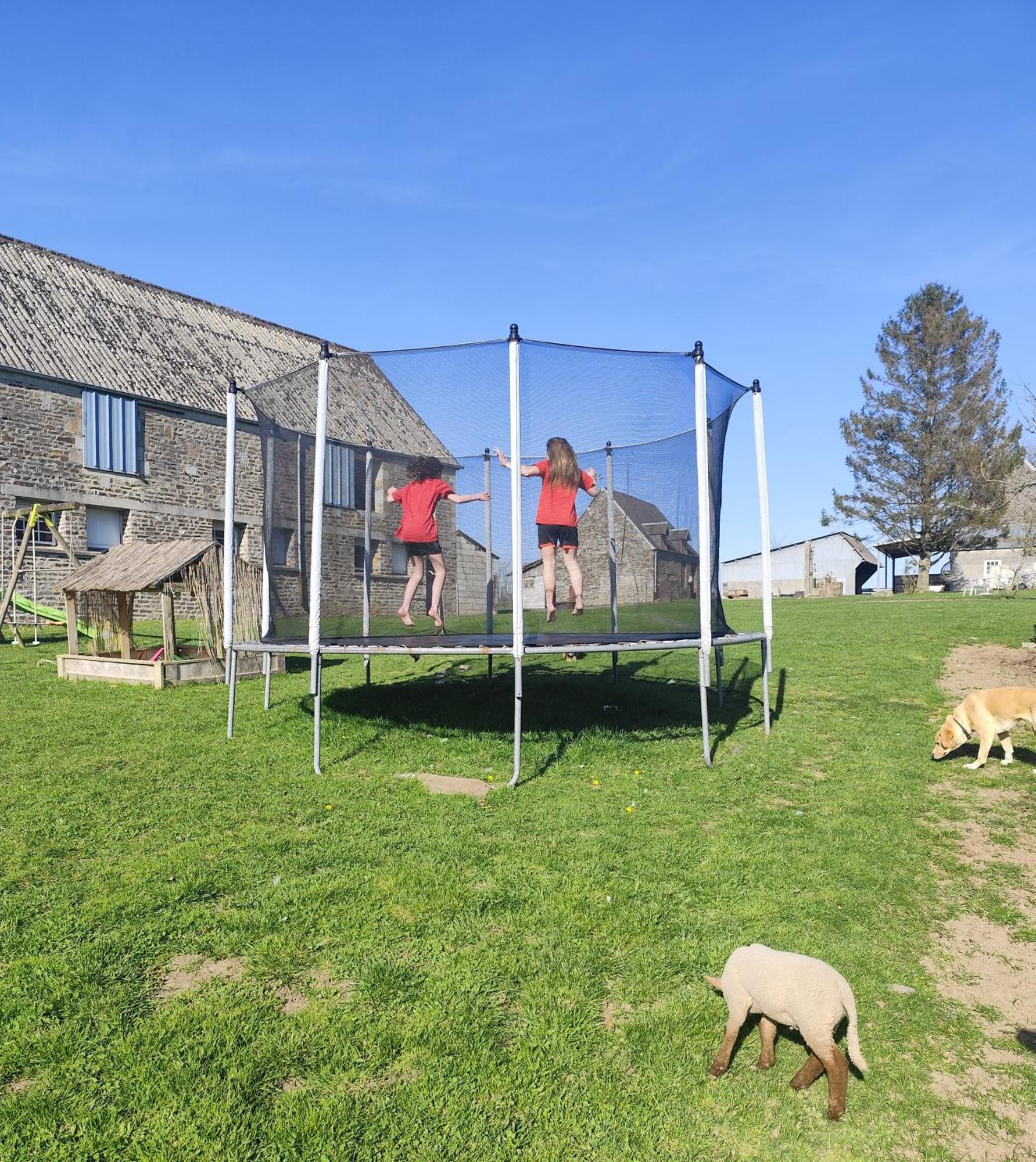 La Billardiere Camping A La Ferme Le Menil-Ciboult Exterior photo